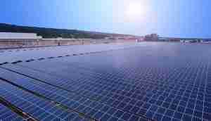 中美硅晶与尊龙z6光电携手战略合作